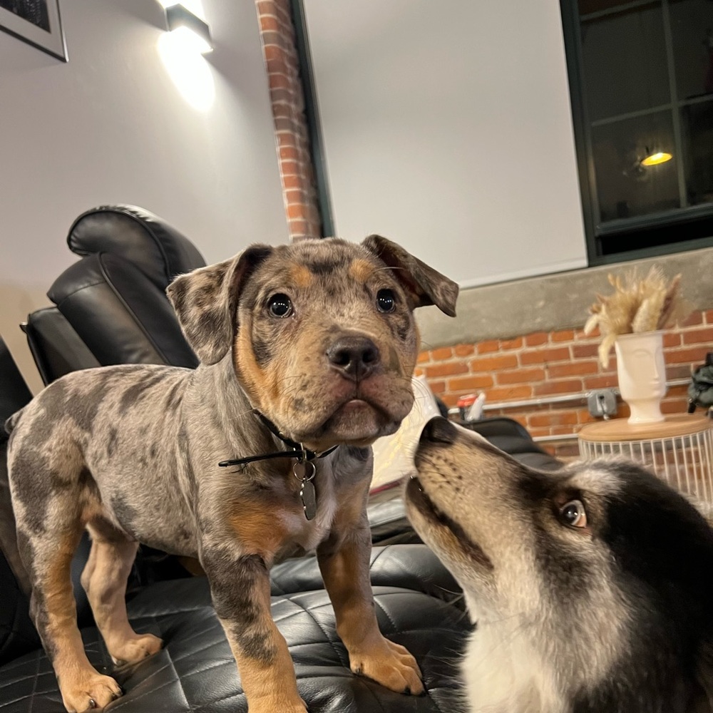 Meet your Posher, Jose